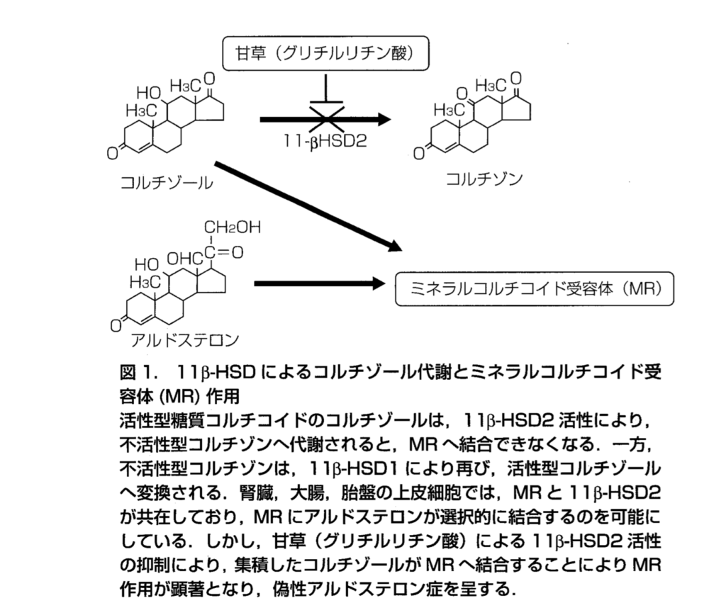 偽性アルドステロン症