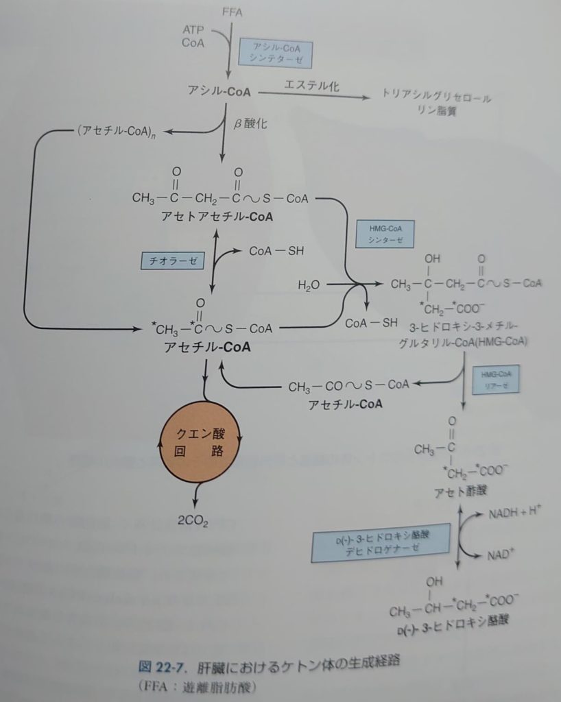 ketone-keiro