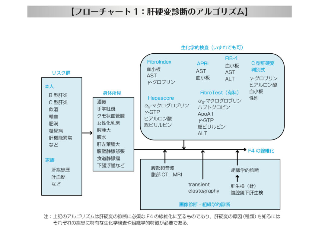 肝硬変診断