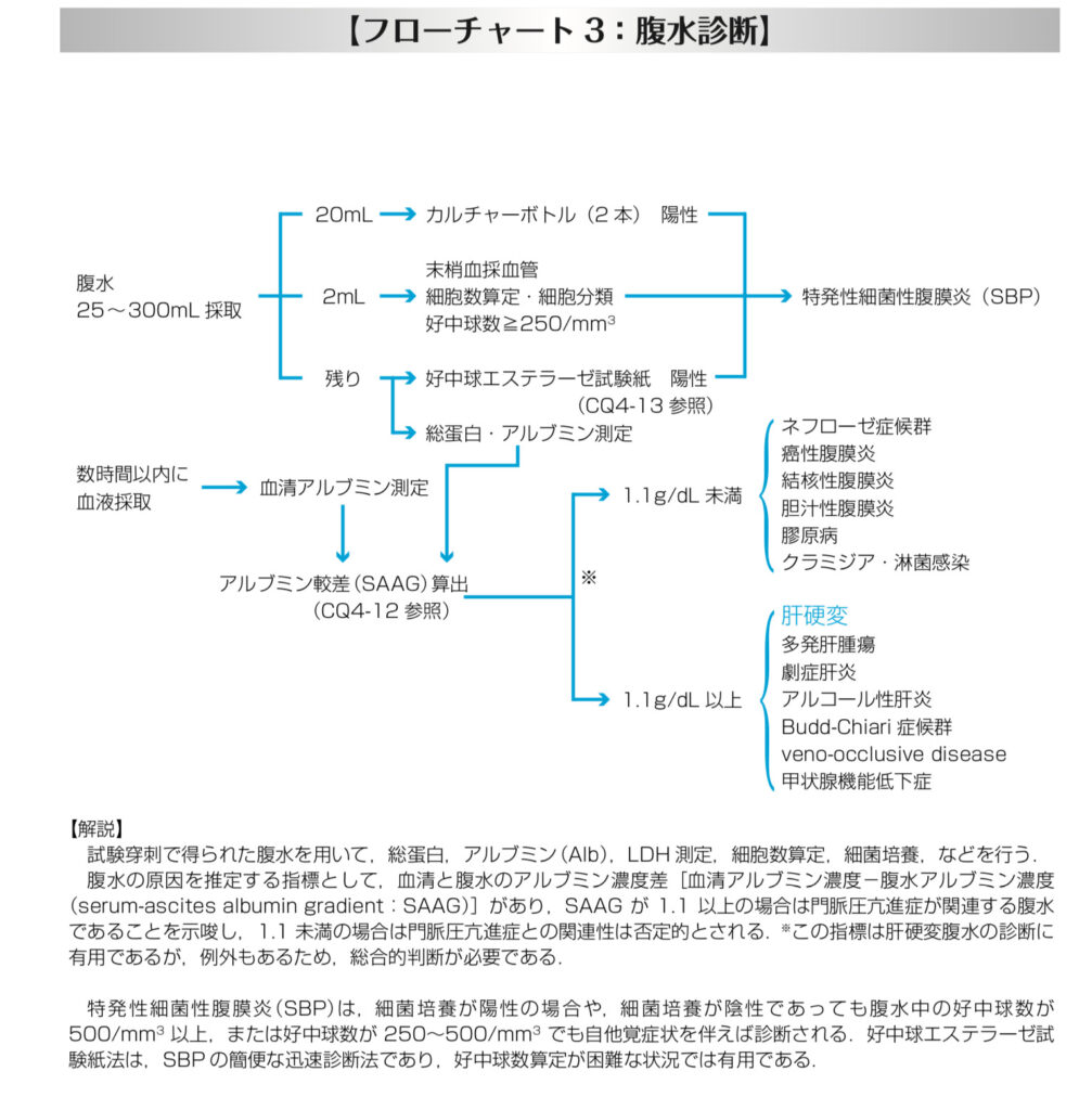 腹水診断フローチャート